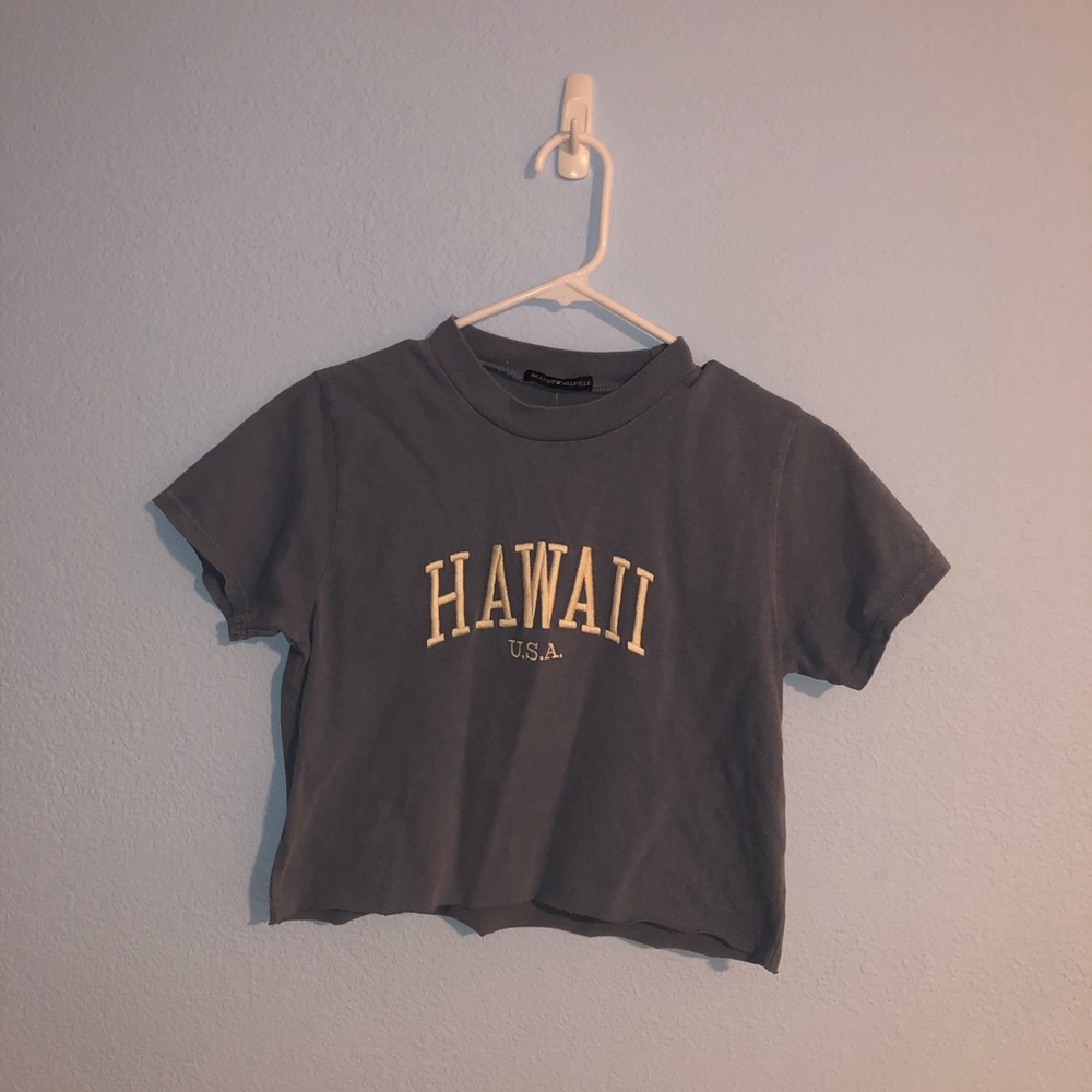 Brandy Melville Cropped Tee